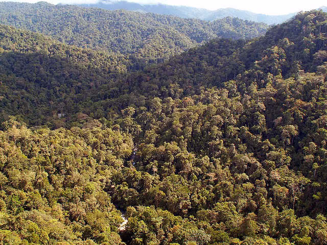 Vườn quốc gia Lorentz nằm ở tỉnh Papua, Indonesia. Đây là một trong những vườn quốc gia đa dạng sinh học nhất thế giới. Với diện tích 25.056 km2, Lorentz trở thành Vườn quốc gia lớn nhất Đông Nam Á.