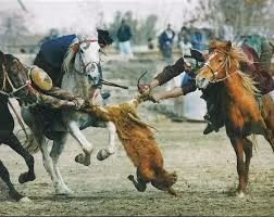 Luật lệ của Buzkashi là hai đội sẽ cùng cưỡi ngựa đi đấu, kéo xác một con dê không đầu ở giữa sân đến một khu vực định trước, thường là vòng tròn (giống như khung thành trong bóng đá).