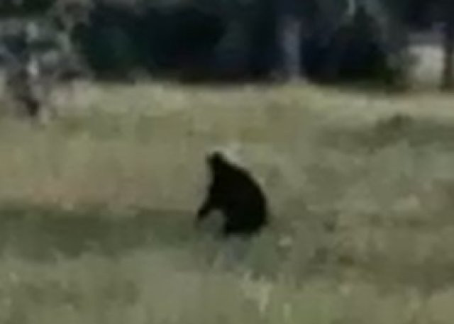 Khi đang cố nổ máy cho xe chạy, Heerdan bất ngờ thấy một con quái thú Santu Sakai cố gắng đập vỡ kính ở phía sau xe trong khi con còn lại ở phía trước xe.