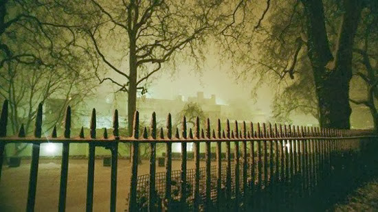 Mặc dù là một thợ săn thường xuyên đi rừng nhưng những âm thanh đó khiến Heerdan vô cùng hoảng sợ nên đã vội vã bỏ chạy.