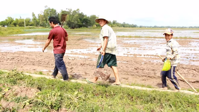 Ve mien Tay mua lu, xem tho san chuot dong hot bac