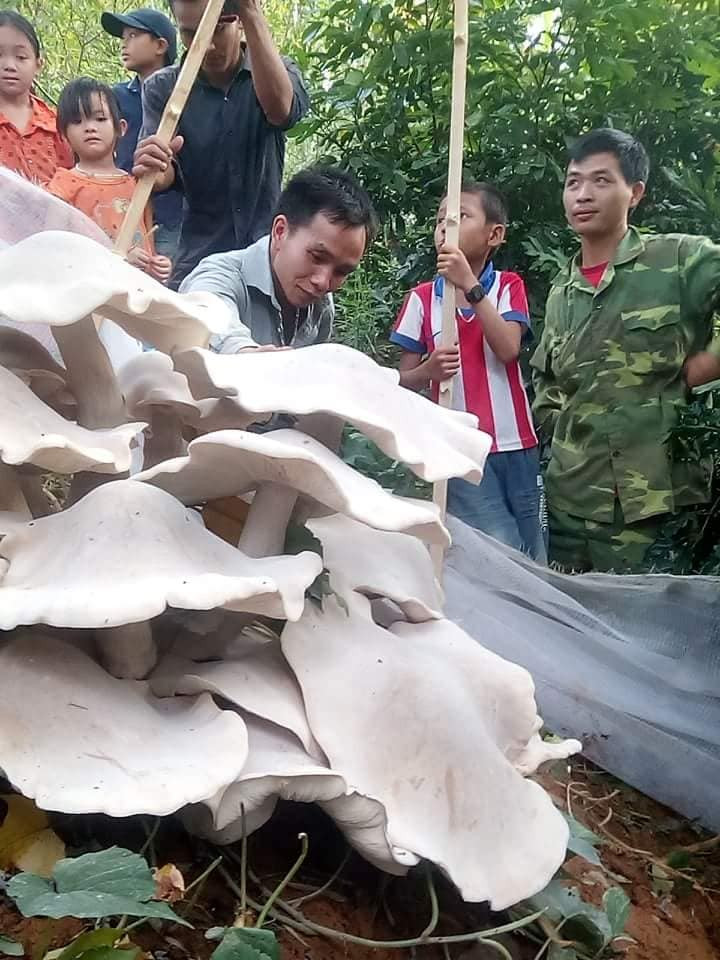 Son La: Do xo di xem nam trang khong lo, doc, la to nhu quat nan-Hinh-2