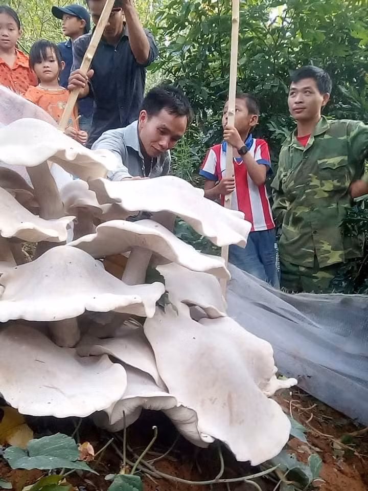 Son La: Do xo di xem nam trang khong lo, doc, la to nhu quat nan-Hinh-2