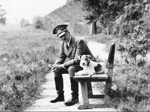 Không chỉ tiết lộ thông tin gây bất ngờ về Hitler, bà Romy còn cáo buộc người chồng thứ hai của mẹ là chủ nhà hàng Hans Herbert Blatzheim từng nhiều lần gạ gẫm bà. Mời độc giả xem video: Tiếp tục truy tìm tội phạm chiến tranh thời phát xít Đức (nguồn: VTC14)