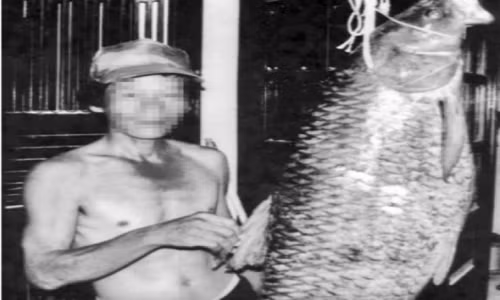 Nhan chung cua cong nghe san “khung long” bi an o Ho Tay len tieng