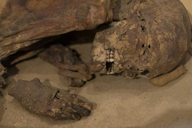 Kết quả phân tích mẫu vải liệm lấy từ thân và cổ tay của xác ướp của các chuyên gia đã tìm thấy dầu thực vật hoặc mỡ động vật, nhựa thông và hương liệu thực vật. Đây là những nguyên liệu chính được dùng để bảo quản xác ướp.