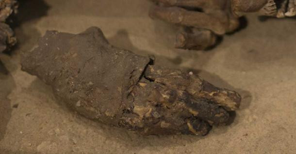 Nhựa cây được lấy từ một số loài cây, cụ thể là nhựa thông. Nó là một nguyên liệu có tác dụng bảo quản, được trộn vào hỗn hợp dùng để ướp xác người chết.