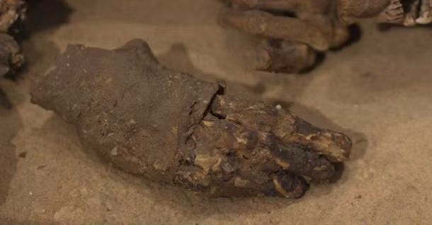 Nhựa cây được lấy từ một số loài cây, cụ thể là nhựa thông. Nó là một nguyên liệu có tác dụng bảo quản, được trộn vào hỗn hợp dùng để ướp xác người chết.