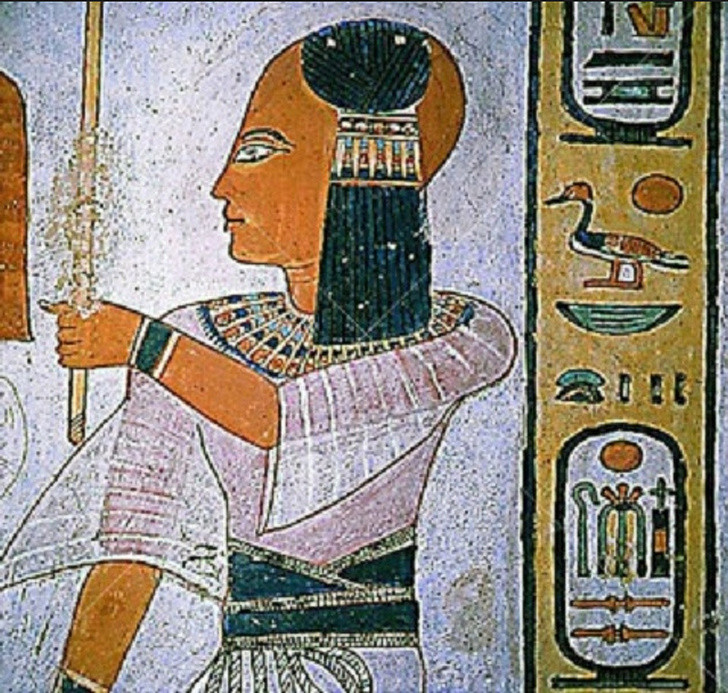 Một sự thật thú vị là vào năm 1500 trước Công nguyên, phụ nữ Ai Cập cổ đại ưa chuộng việc để đầu hói. Theo đó, họ cạo sạch tóc trên đầu và đội tóc giả làm từ lông cừu hoặc thảo mộc. Họ làm như vậy vì quan niệm đây là tiêu chuẩn vẻ đẹp nữ tính.