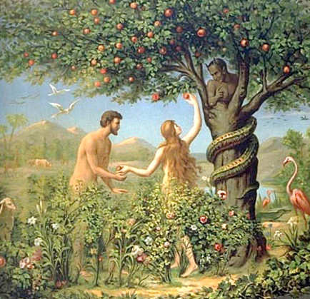 Ông Gordon cho rằng, loại dừa hiếm Coco De Mer có thể chính là loại quả có thể đem lại trí tuệ cho con người mà Adam và Eva trót ăn.