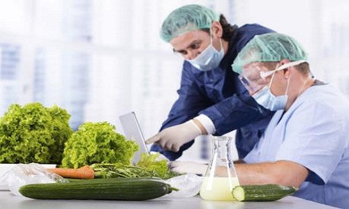 Các nước trên thế giới có nhiều biện pháp để quản lý chất lượng thực phẩm cung cấp ra thị trường.
