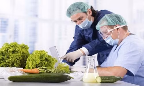 Các nước trên thế giới có nhiều biện pháp để quản lý chất lượng thực phẩm cung cấp ra thị trường.