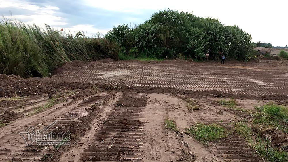 Dieu dung nhin vuon nhan hon 3.000m2 ven song Hong bi ke la san phang-Hinh-4