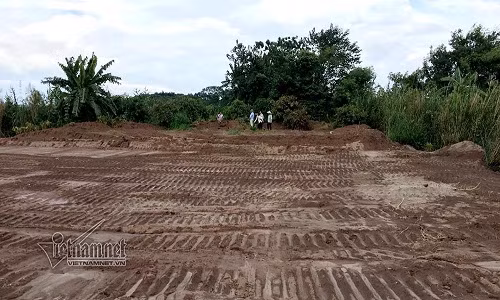 Dieu dung nhin vuon nhan hon 3.000m2 ven song Hong bi ke la san phang