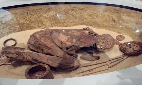 Mới đây, các chuyên gia công bố kết quả nghiên cứu cho thấy xác ướp Turin được ướp xác một cách tự nhiên nhờ sa mạc khô cằn.