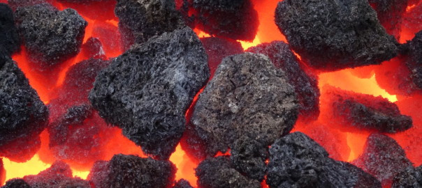 "Các lò nung của thế giới đang đốt khoảng 2 tỷ tấn than/năm. Than đá bị đốt cháy hút hết oxy và thải ra thêm 7 tỷ tấn CO2 vào khí quyển mỗi năm. Quá trình này sẽ khiến bầu không khí ngày càng giống như một cái chăn trùm lên Trái đất, làm tăng nhiệt độ lên. Hậu quả sẽ tới trong các thế kỷ tới", trích một đoạn trong bài báo.