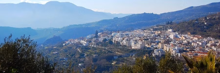 Để không vi phạm quy định cấm này, giới chức trách Lanjaron ban hành một sắc lệnh yêu cầu người dân chăm sóc tốt cho sức khỏe của bản thân ở mức tối đa để không được chết cho đến khi tìm được địa điểm xây dựng nghĩa trang mới.