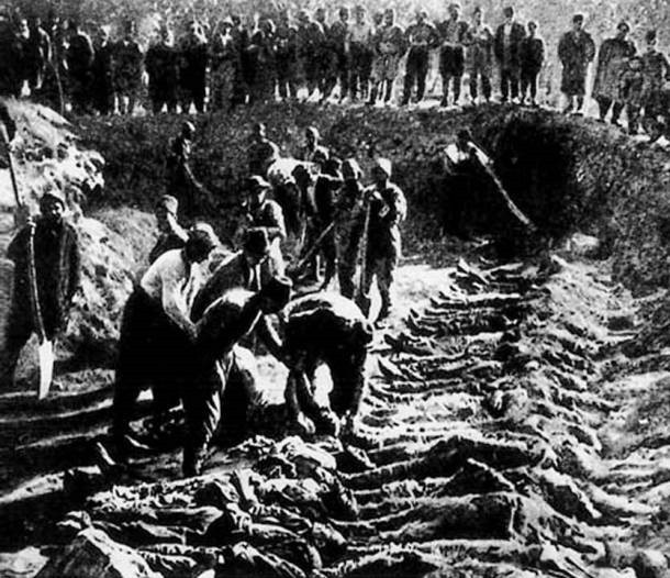 Cuộc thảm sát gây chấn động dư luận này xảy ra trong thời gian từ năm 1894 - 1896. Trong quá trình mở rộng lãnh thổ và bành trướng ảnh hưởng, quân đội của đế chế Ottoman đã thảm sát khoảng 80.000 - 300.000 người Armenia.