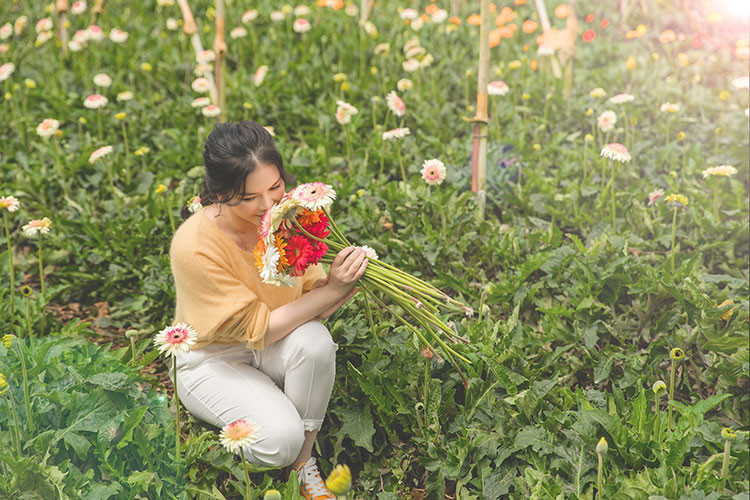 Ngoài hoa, Lý Nhã Kỳ còn trồng các loại rau quả như súp lơ, atiso, cải thảo, rau xà lách, bí ngòi, bơ, dâu tây và nuôi gà.