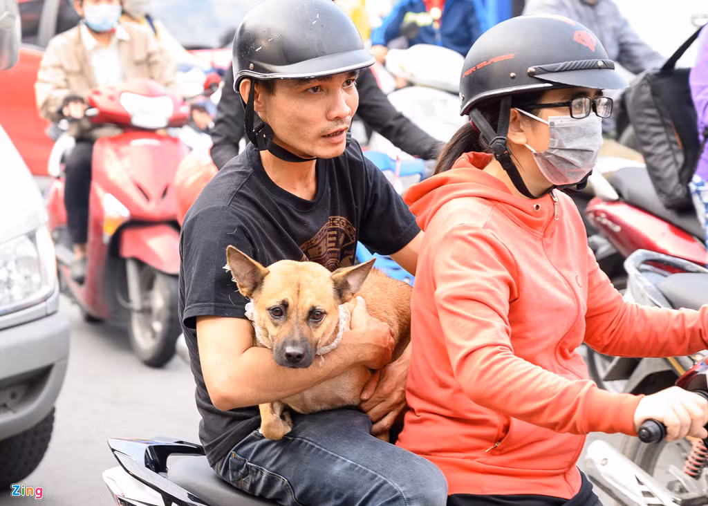 Người thân trong gia đình bế Cà Phê - chú chó gắn bó nhiều năm với nghệ sĩ Xuân Hiếu trong lễ đưa tang. Những ngày qua, Cà Phê bỏ ăn và tỏ vẻ buồn bã, luôn túc trực bên linh cữu của cố nghệ sĩ. Xem video "Đẫm nước mắt lễ đưa tang nghệ sĩ Thanh Hoàng". Nguồn VTC
