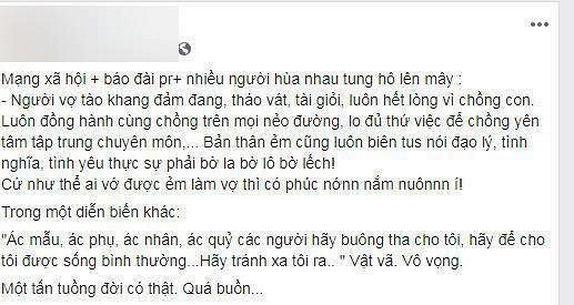 Vo bi mang gia tao, Hoai Lam buc xuc: 