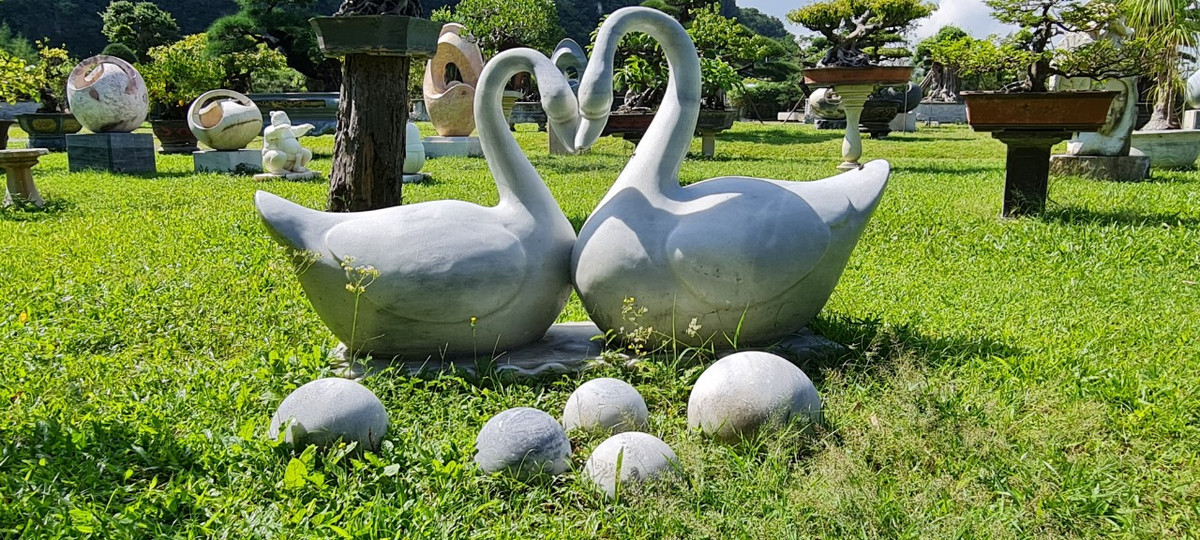 Trông thật nên thơ.