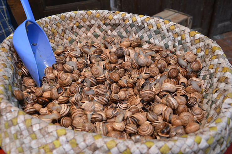 Để ăn món này cũng rất đơn giản, bạn chỉ cần dùng tăm rút thịt ốc ra, sau đó chấm với nước dùng cực kỳ mặn mà nhiều người Ma-rốc tin là tốt cho tiêu hóa và hạ sốt. Những con ốc sên này có mùi vị như nấm nhưng dai hơn một chút.