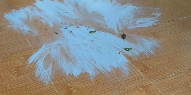 Quảng Ngãi: Xuất hiện bụi và mùi hôi, khét bất thường Quang Ngai: Xuat hien bui va mui hoi, khet bat thuong