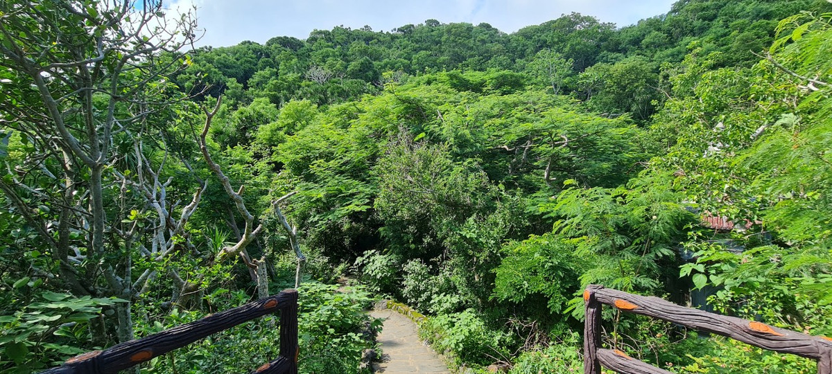 Những con đường kỳ vĩ nên thơ...