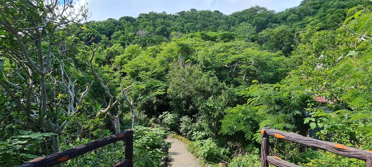 Những con đường kỳ vĩ nên thơ...