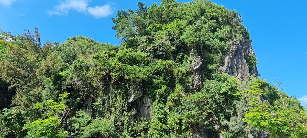 Nơi đây có cảnh quan hùng vĩ với những ngọn núi đá cây xanh phủ kín.