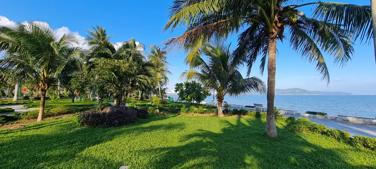 Những thảm cỏ xanh mướt...