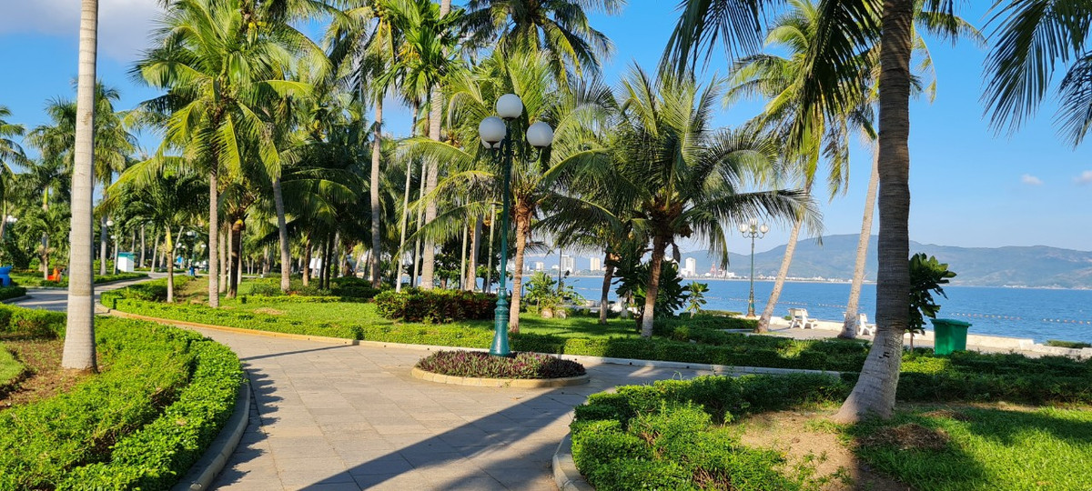 Những con đường rợp nắng...