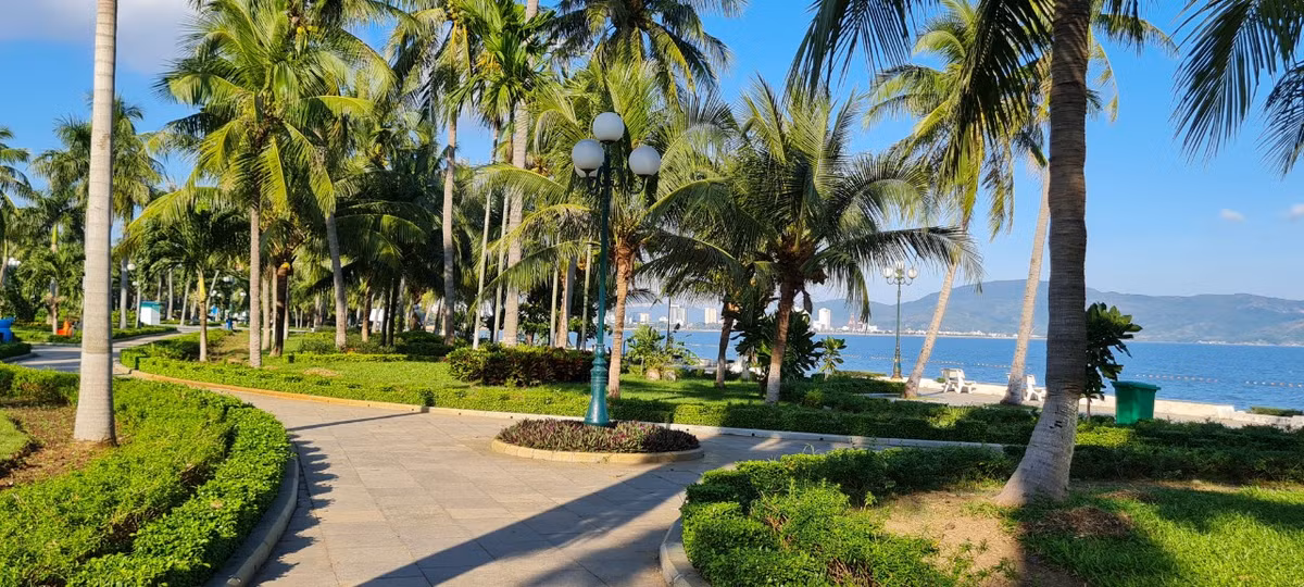 Những con đường rợp nắng...