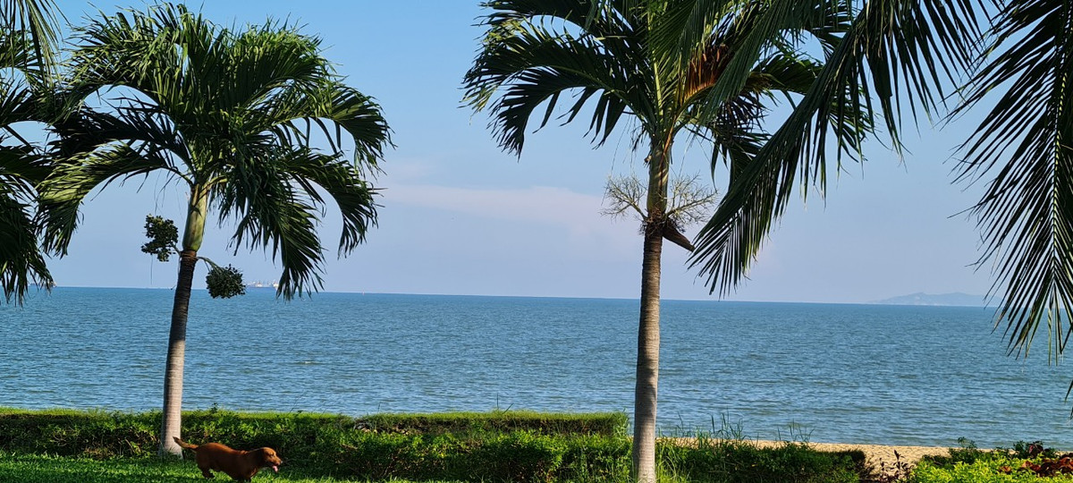 Nét thiên nhiên nguyên sơ với biển ngọc trong xanh tạo nên sức quyến rũ kỳ diệu.