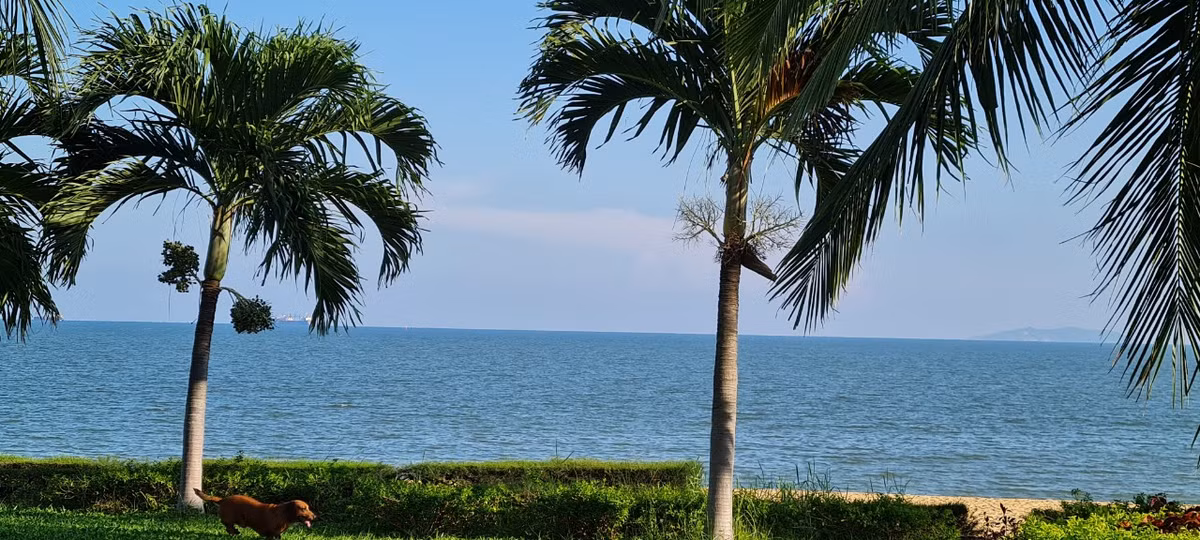 Nét thiên nhiên nguyên sơ với biển ngọc trong xanh tạo nên sức quyến rũ kỳ diệu.