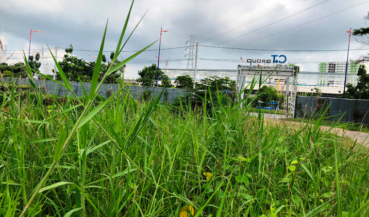 Sáng 26/6, PV Kiến Thức có mặt tại đây và ghi nhận sự hoang phế rùng mình.