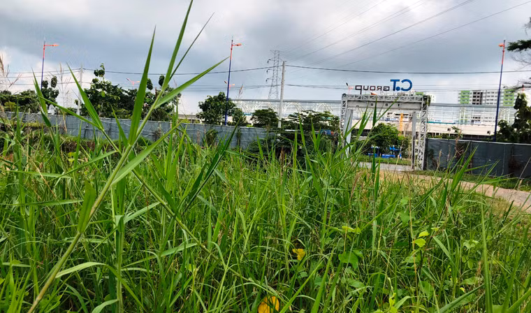 Sáng 26/6, PV Kiến Thức có mặt tại đây và ghi nhận sự hoang phế rùng mình.