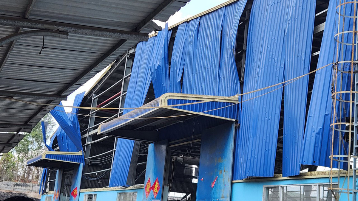 Lanh dao UBND tinh Dong Nai yeu cau dieu tra vu no lo hoi-Hinh-2