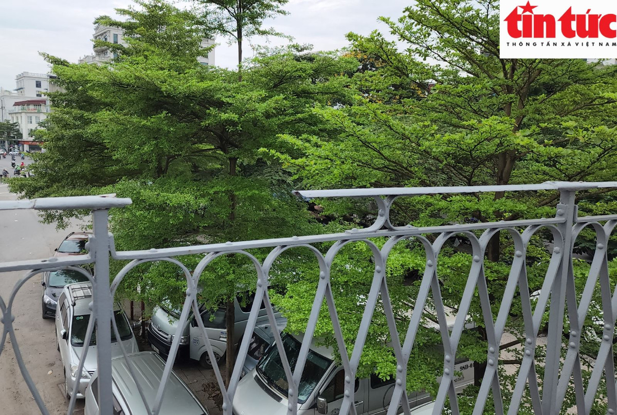 Cau Long Bien hon 120 tuoi can 'dai phau' lon de tiep tuc truong ton-Hinh-9