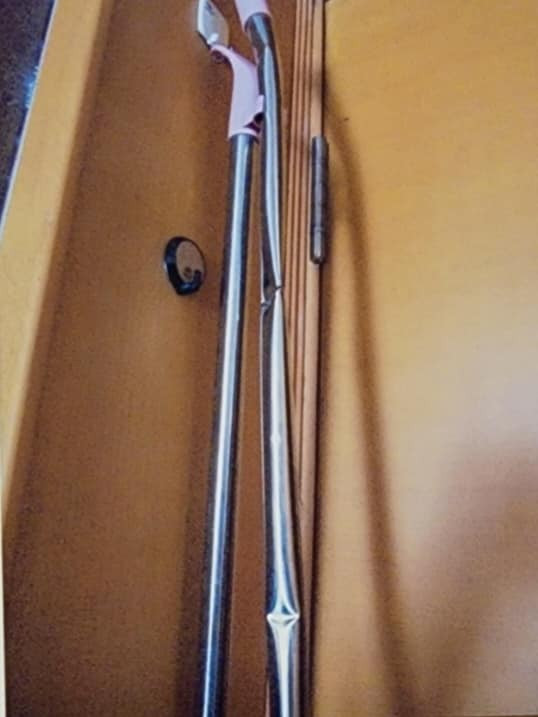 Có những Trang đánh bé lúc Thái đang nằm trên giường xem điện thoại. Mặt khác, Thái cũng nhiều lần cùng Trang trực tiếp lột chuồng cháu, vô cớ đánh dã man, bắt cháu chui vào chuồng chó,...Những hành vi độc ác đã thể hiện ý thức chủ quan của các đối tượng không coi cháu là một con người, không muốn cháu còn tồn tại trên cuộc đời kể từ ngày 7/12/2021.