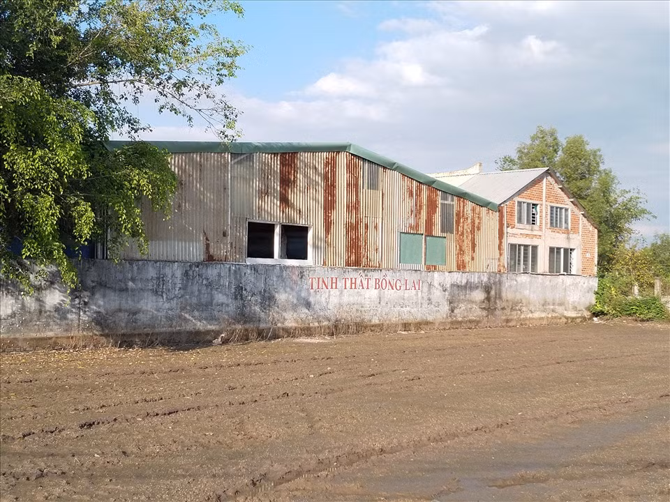 Đối với những người khác, có liên quan cùng cư trú trong "Tịnh thất Bồng Lai" do không biết hành vi của các bị can là vi phạm pháp luật nên Viện kiểm sát nhân dân tỉnh Long An cho rằng việc Cơ quan an ninh điều tra không xem xét truy cứu trách nhiệm hình sự là phù hợp. 