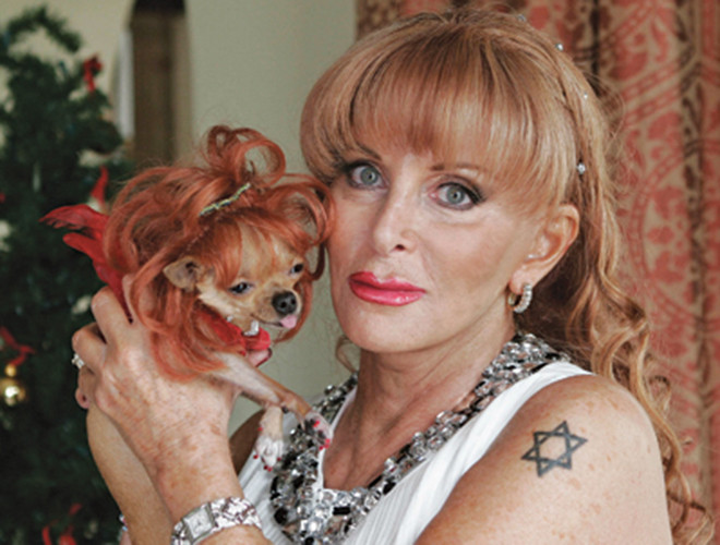 Cô chó "sang chảnh" này cũng thường xuyên có mặt ở các hộp đêm tại Miami và ngủ trong một chiếc giường xe đua màu hồng