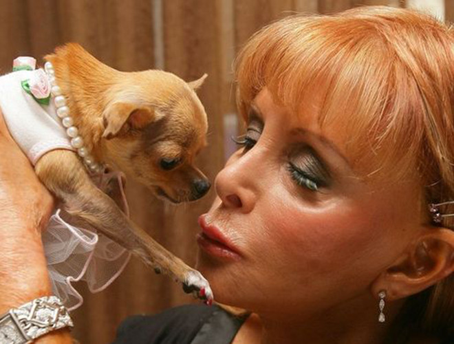 Khi qua đời, Gali Posner, chủ nhân của Conchita đã để lại cho chú 3 triệu USD và một biệt thự 8,3 triệu USD ở Miami Beach để đảm bảo chú tiếp tục được nuông chiều