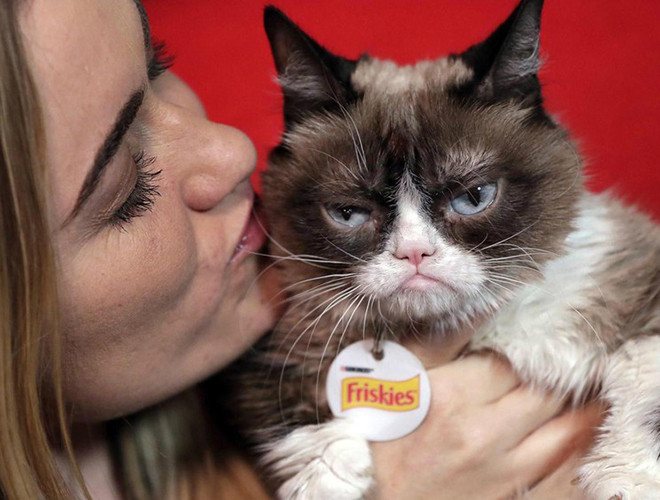 Tháng 5-2019, huyền thoại mèo cau có Grumpy đã qua đời ở tuổi 7. Trên mạng xã hội, mọi người đã có những dòng chia sẻ, động viên người chủ của Grumpy Cat. Grumpy "cau có" mãi là một biểu tượng nổi tiếng và có sức lan tỏa giúp hàng triệu người mỉm cười