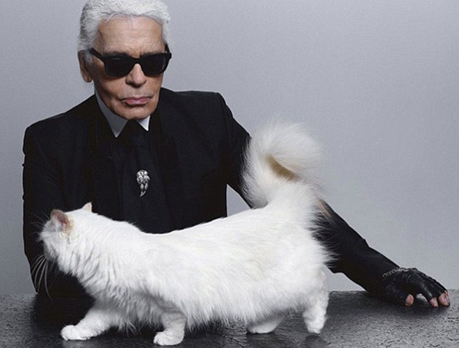 Trước khi qua đời, ông Lagerfeld từng chia sẻ rằng Choupette có tài sản riêng. Ít nhất thú cưng giàu có này có 3 triệu Euro từ việc quảng cáo cho một công ty xe hơi Đức và một thương hiệu mỹ phẩm Nhật Bản