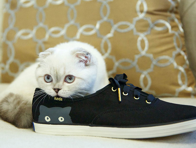 Olivia Benson là mèo của cô nàng "Rắn chúa" Taylor Swift. Cô mèo đài các kiếm tiền từ việc xuất hiện trên các quảng cáo cho nhiều thương hiệu danh tiếng như Diet Coke, Keds và AT&amp;T. Tất nhiên, đó là chưa kể tới việc góp mặt như "cơm bữa" trong các MV ca nhạc của cô chủ Taylor Swift