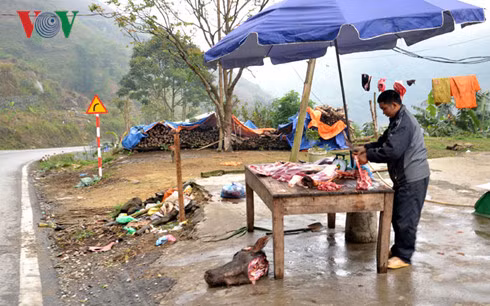 Trau Sa Pa chet hang loat vi ret-Hinh-6