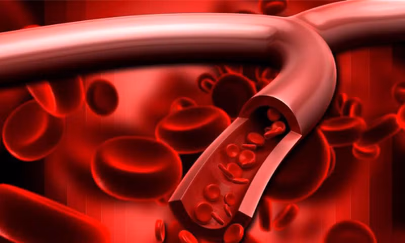 Mạch máu có thể được coi là đường ống vận chuyển máu đi khắp cơ thể. Bình thường, các mạch máu rất linh hoạt và đàn hồi, đảm bảo máu lan tỏa khắp cơ thể, cung cấp chất dinh dưỡng và oxy cho các mô cơ thể và lấy đi chất thải trong quá trình trao đổi chất.