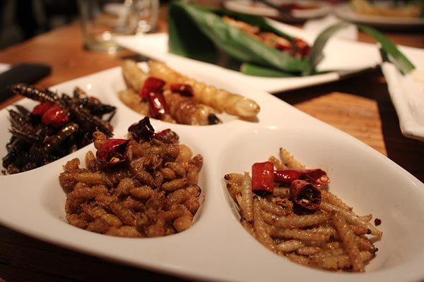 Australia là đất nước nổi tiếng với những điều kỳ thú và tất nhiên văn hóa ẩm thực ở nơi đây cũng vô cùng đặc sắc. Trong số những món đặc sản của xứ sở chuột túi, không thể không kể đến món ấu trùng bướm Witchetty Grub, món ăn được mệnh danh là món ăn kinh dị ở Australia.